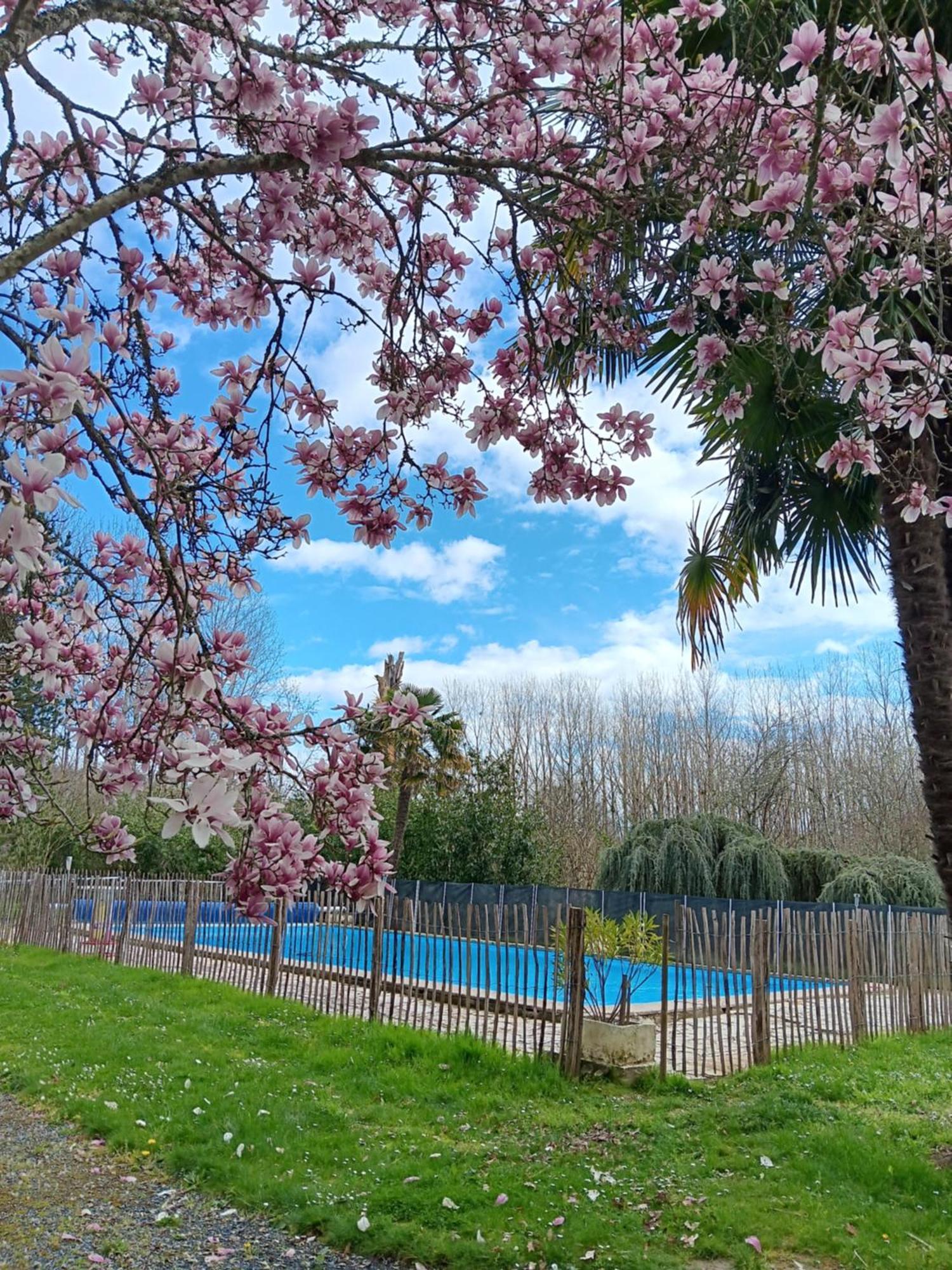 Le Moulin Du Comte Hébergement de vacances Bourrouillan