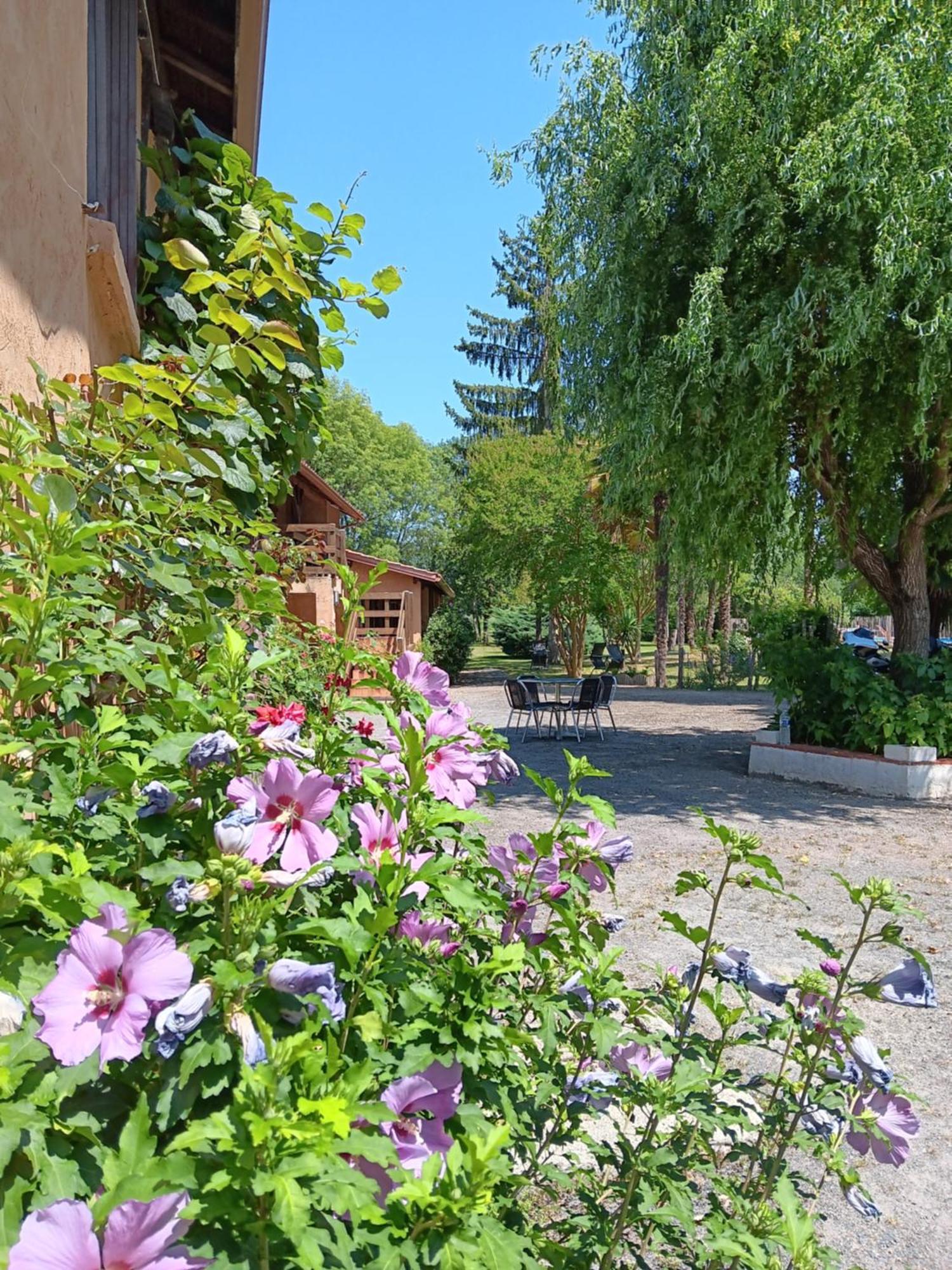 Le Moulin Du Comte Holiday home